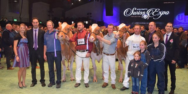 Senior Champion (links): Jowis Incas Flavia, Erich Zingre-Thomi, Grund bei Gstaad. Reserve Senior Champion (Mitte) wurde GS Alliance Alando Jodie-Red, Edwin und Matthias Steiner, Wilen bei Wollerau. Und Mention Honorable Bopis Talent Lotanie (rechts), Ass. Oberson-Pasquier & Savary Nicolas, Maules. (Bilder Peter Fankhauser)