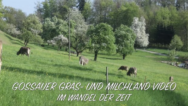 Das Gossauer Gras- und Milchland-Video ist auf You Tube zu finden. (Bild Screenshot)