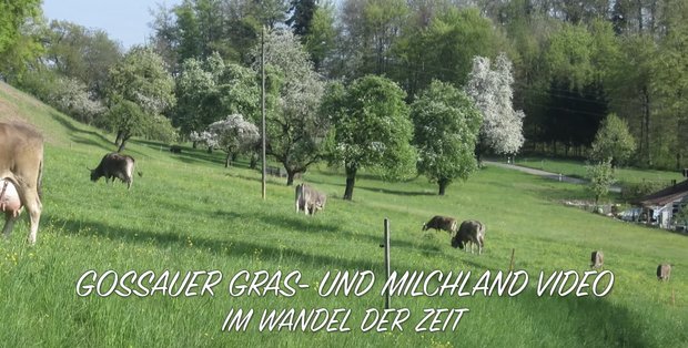 Das Gossauer Gras- und Milchland-Video ist auf You Tube zu finden. (Bild Screenshot)