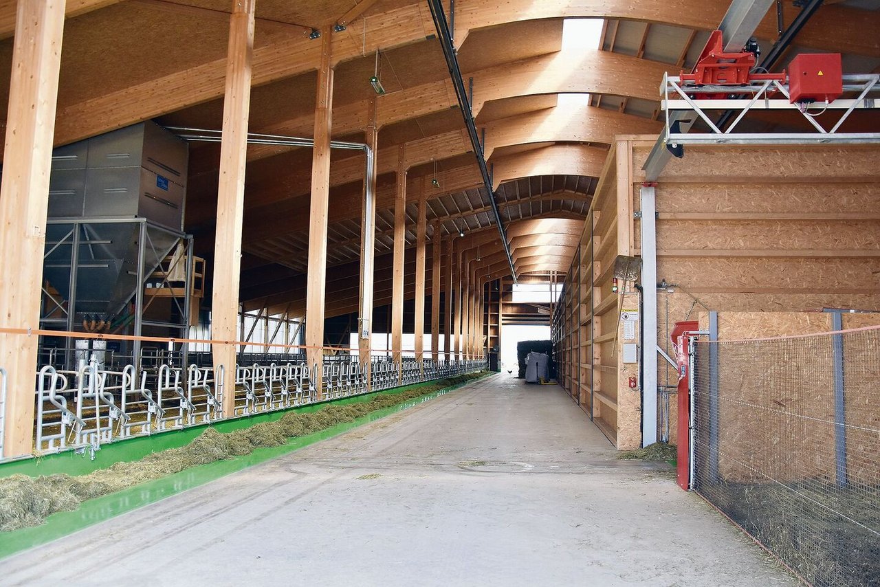 Beim Stallbau stand das Tierwohl im Vordergrund. Dabei wurde auch viel Holz verwendet.