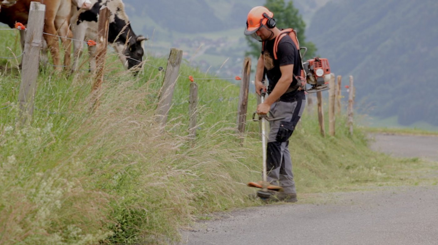Der Weiderand wird geputzt, damit es eine Gattung macht. Am Beruf Landwirt gefällt Marcel Mathis besonders, dass er sein eigener Chef ist und er sich die Arbeit selbständig einteilen kann.