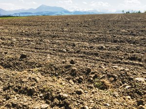 Regenerative Landwirtschaft: Bauern sollen Böden besser kennen Nicht nur in Ackerböden sollte auf die Struktur und Zusammensetzung der Mineralstoffe mehr geachtet werden. Auch im Futterbau gibt es Potenzial für eine bessere Bodenfruchtbarkeit. (Bild js)