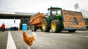 In Frankreich versuchen Landwirte, die Hauptstadt Paris von der Lebensmittelversorgung abzuschneiden.