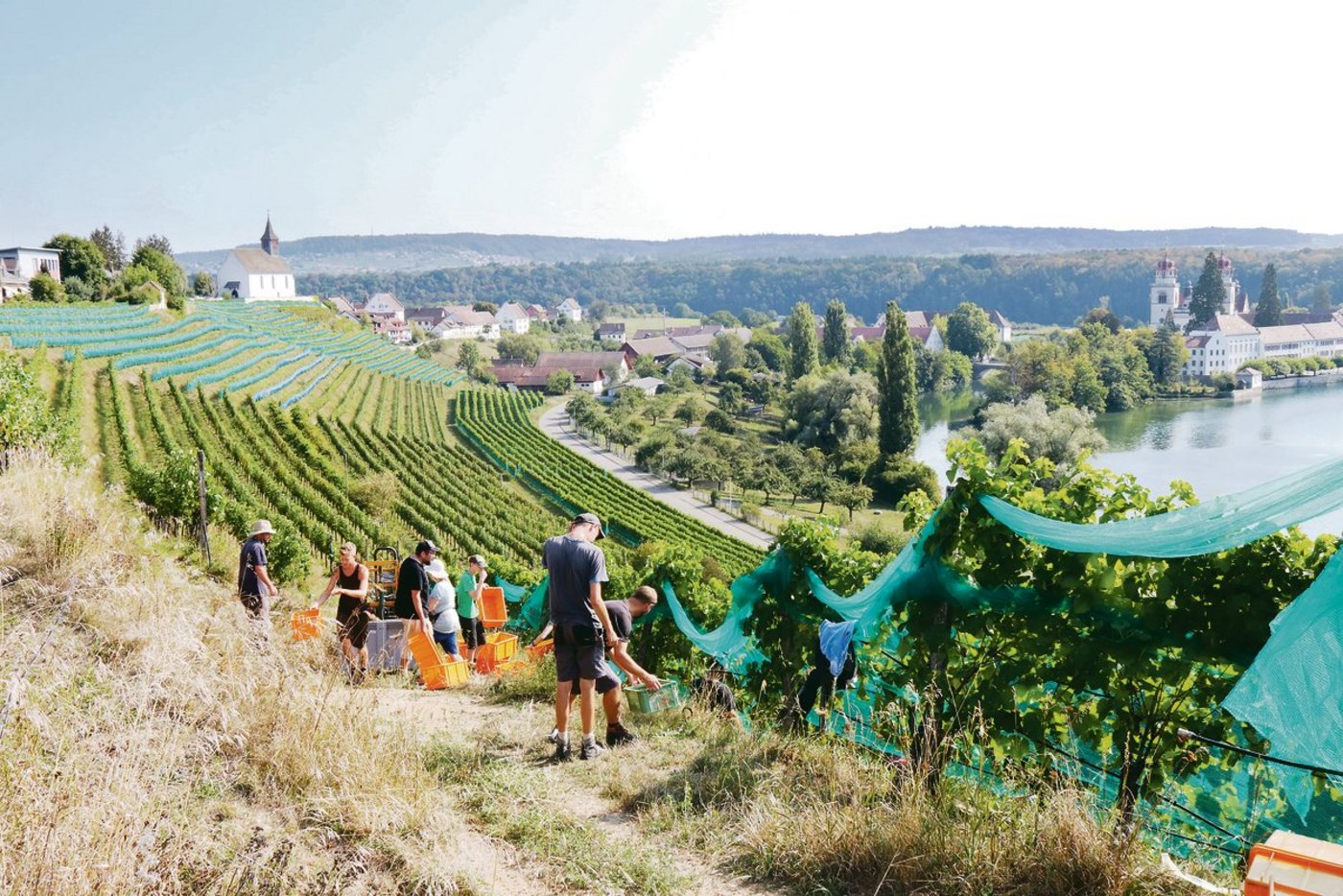 Die Verknüpfung der Unterstützung an die Branche mit der Begrenzung der Höchsterträge pro Quadratmeter kommt nicht überall in der Deutschschweiz gut an.(Bild Roland Müller)