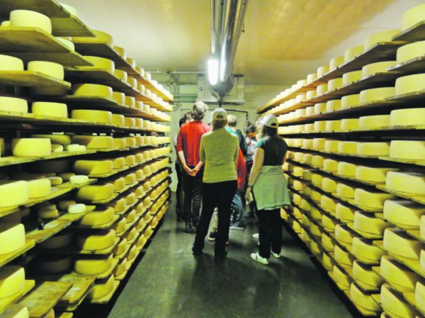 Sie trotzen dem Geruch: Markus Ackermann erklärt den Studierenden die Käsereifung. Für die einen war es der erste Besuch eines Käsekellers und eine echte Herausforderung. (Bild Deborah Rentsch)