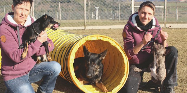 Mutter Gabi Meister unterstützt Tochter Rahe Ingold bei der Führung des Hundehotels in Hornussen. (Foto: Karin Pfister)