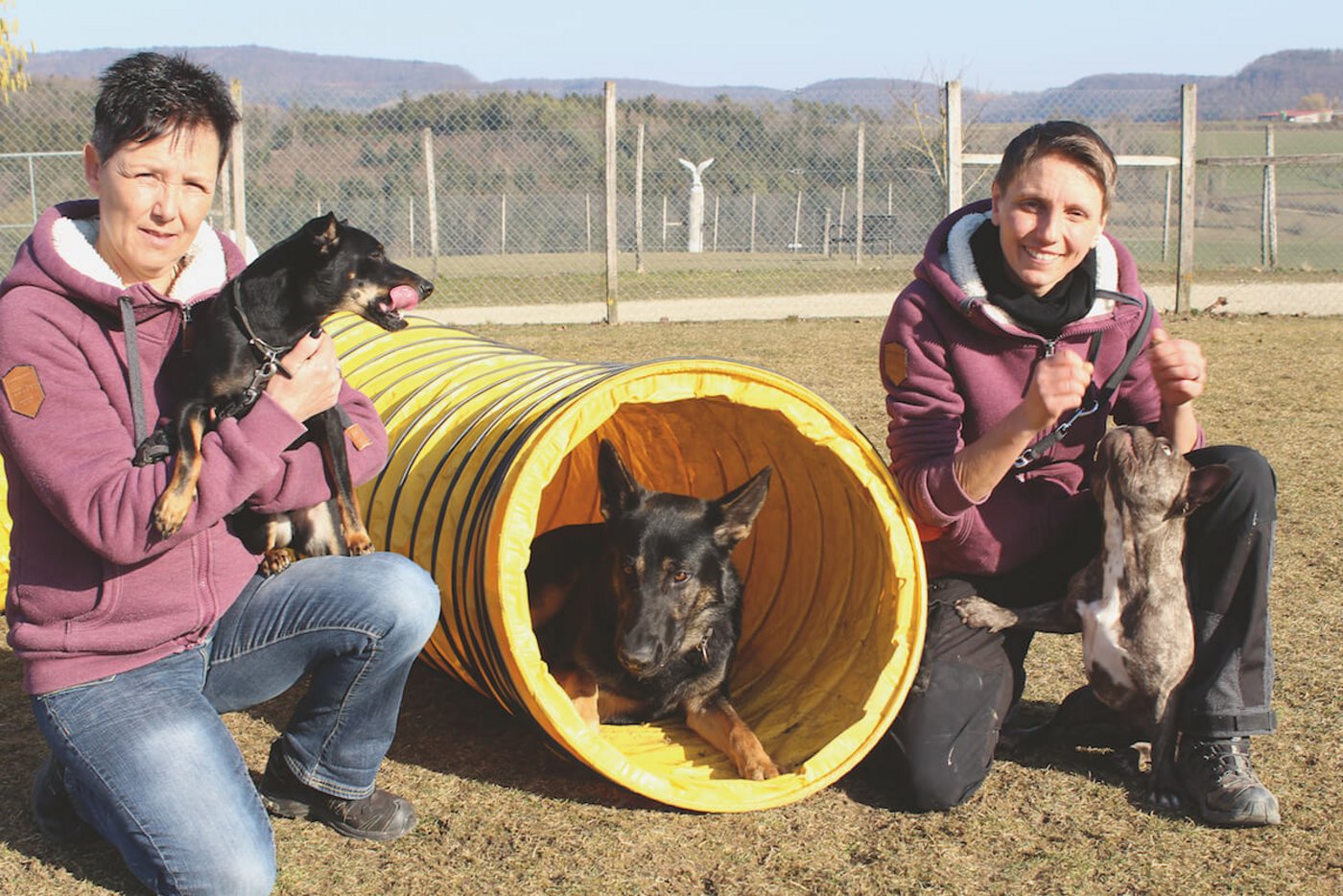 Mutter Gabi Meister unterstützt Tochter Rahe Ingold bei der Führung des Hundehotels in Hornussen. (Foto: Karin Pfister)