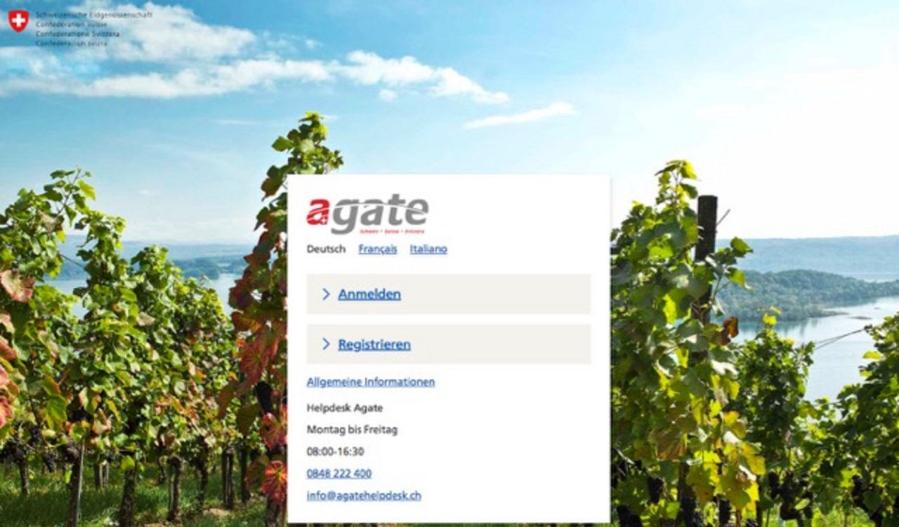 So sieht die Login-Seite vom neuen Agate aus. (Screenshote Agate.ch)