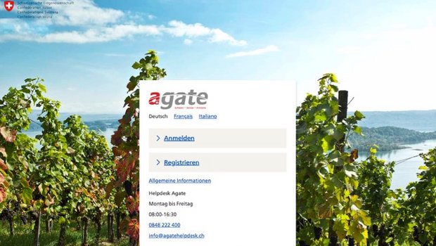 So sieht die Login-Seite vom neuen Agate aus. (Screenshote Agate.ch)