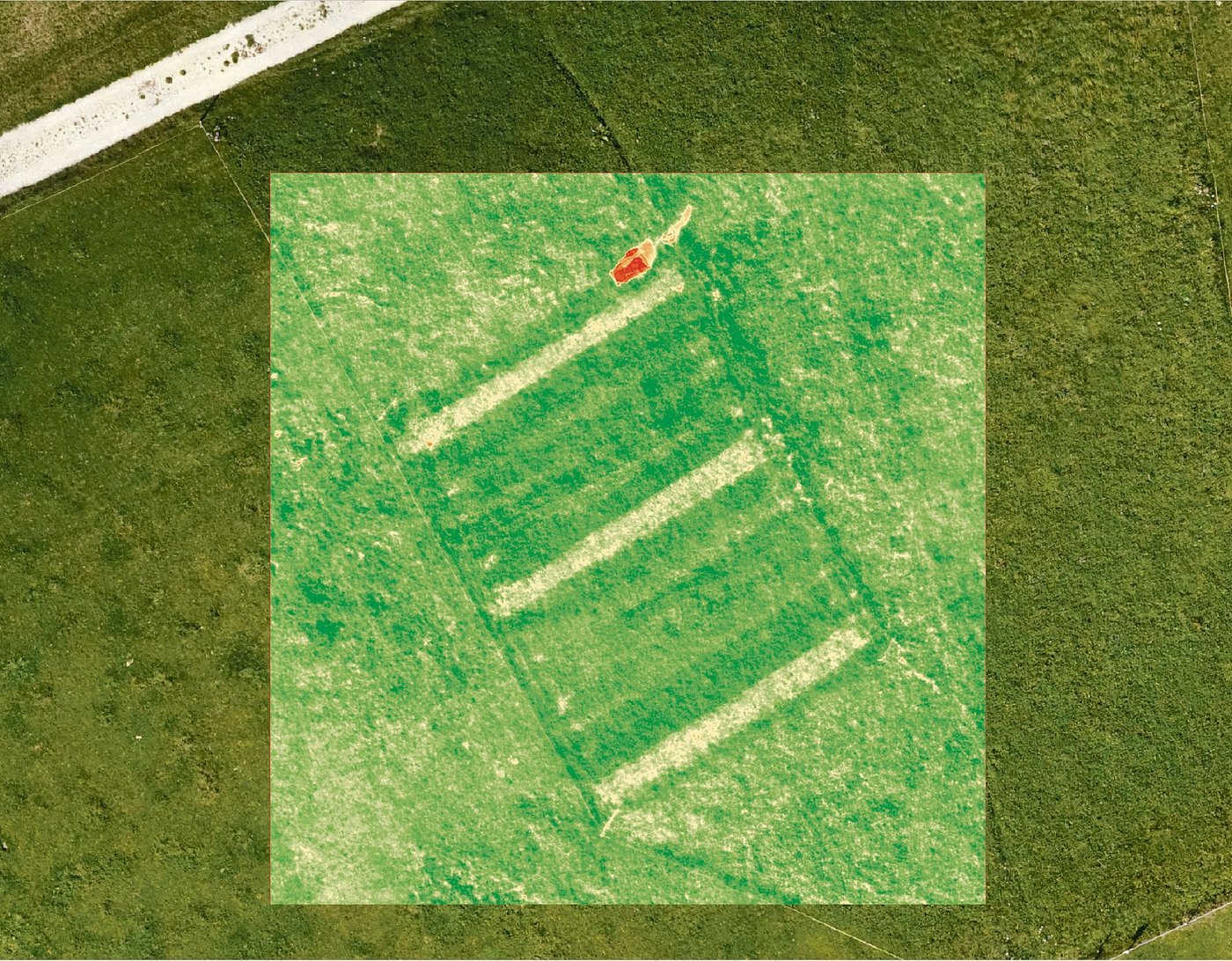 Die Drohne erlaubt es, grossflächig Grashöhen zu erheben. Eine Multispektralkamera ist aufgebaut. (Bild Michael Sutter)