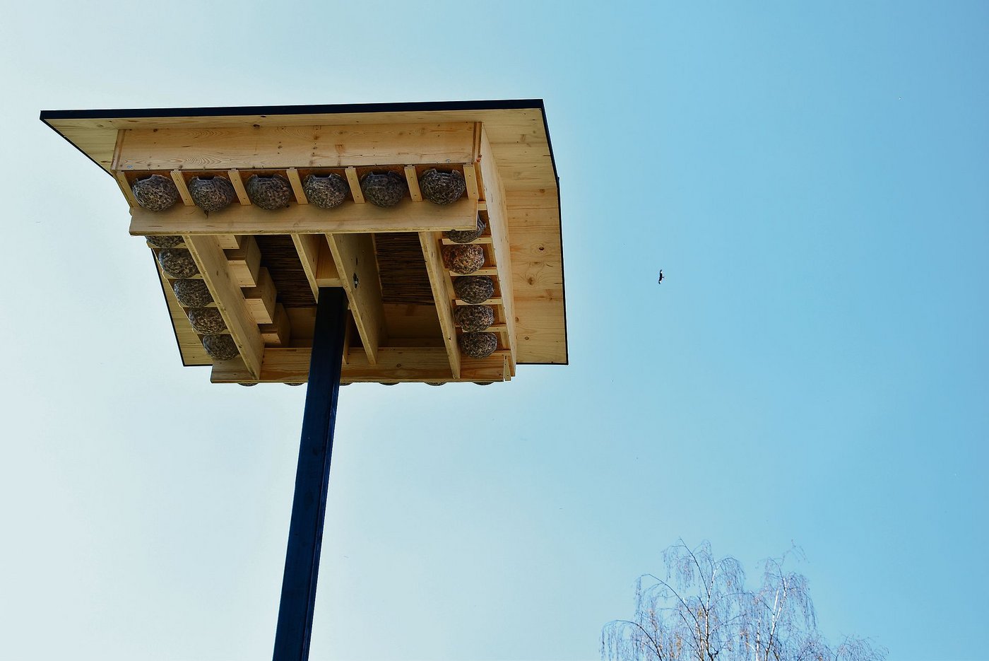 Das schöne und grosszügige Schwalbenhotel auf dem Hof bei der Familie Aebi.