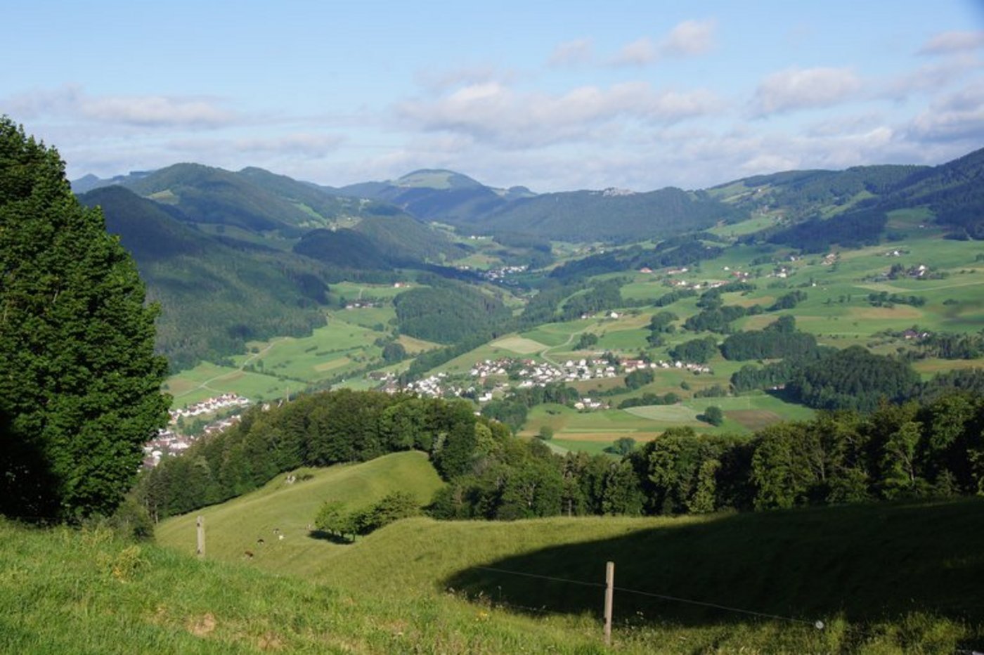 Der Landwirtschaftsartikel war der erste der Verfassung, bei dem die Nachhaltigkeit thematisiert wurde. (Bild lid)