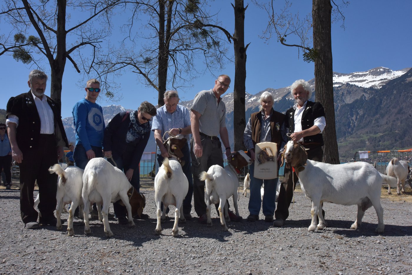 Zuchtfamilie der Ziege Magalie von Richard und Helga Räss aus Winterthur ZH.