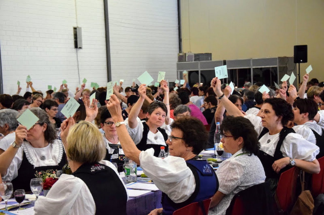 Die Delegierten der 87. Delegiertenversammlung des SBLV in Bellinzona, nahmen alle Traktanden einstimmig an. (Bilder et)