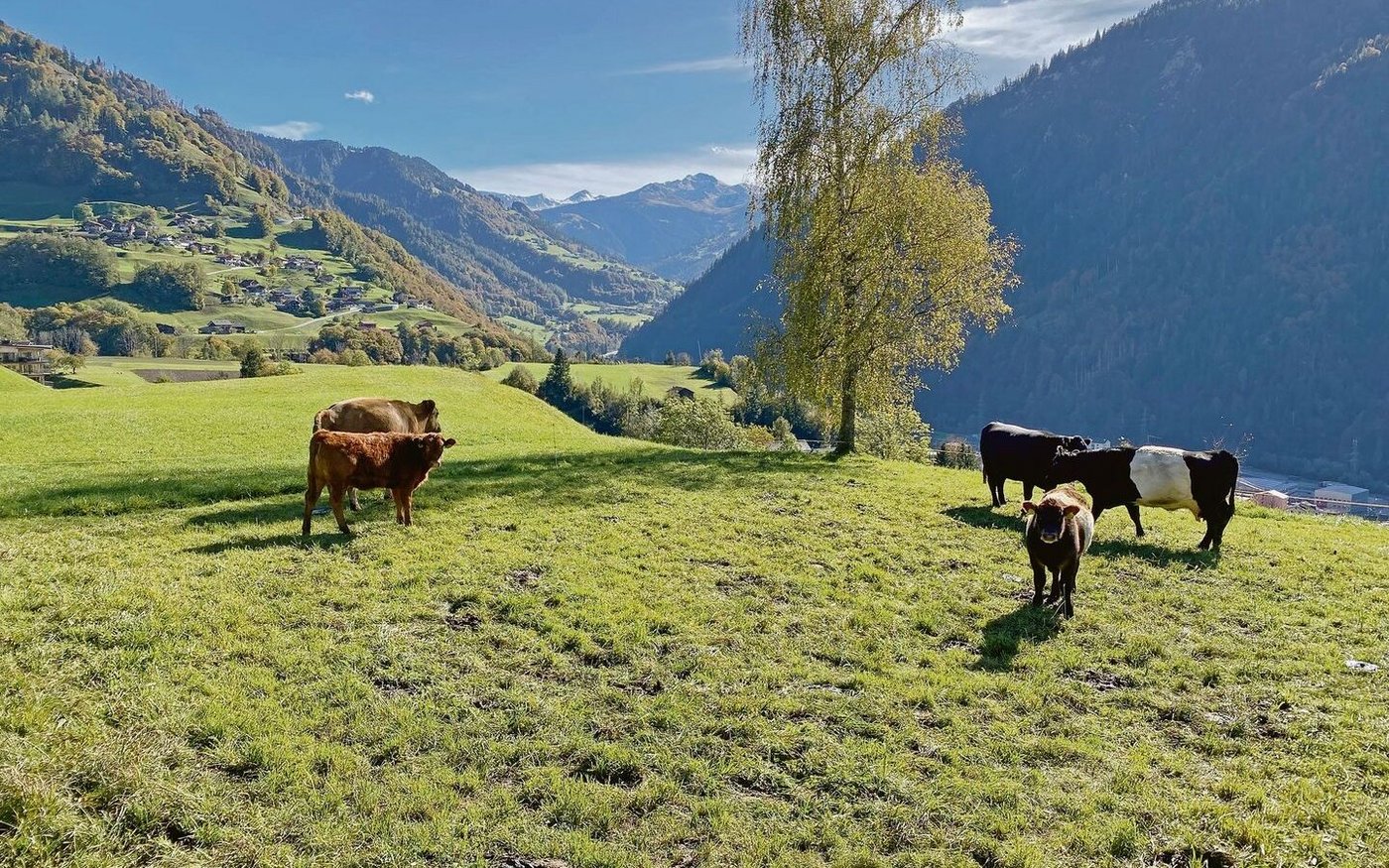 Scheint für eine Weile die Sonne, steigen die Temperaturen im Herbst noch einmal sprunghaft an. 