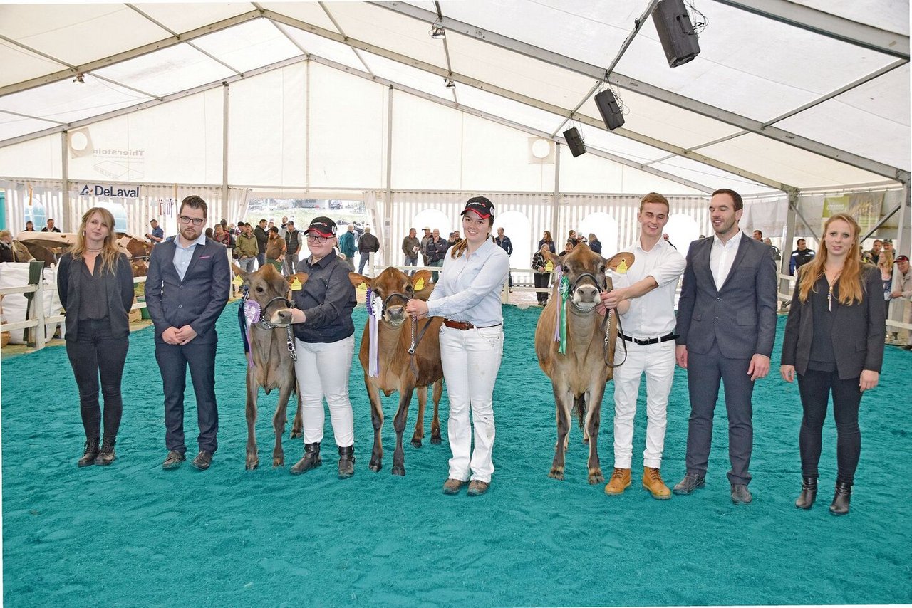 Championne Jersey (v. l. n. r.): Reserve: Schaerbrock Sargent Shirley; Miss: Gygers Victoriou Versace; Mention: GoldHill Vip Ramsey.