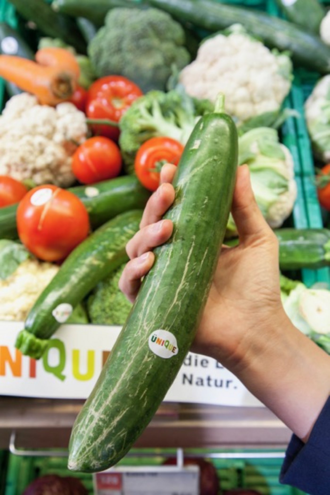 ... zu krumme Gurken ...