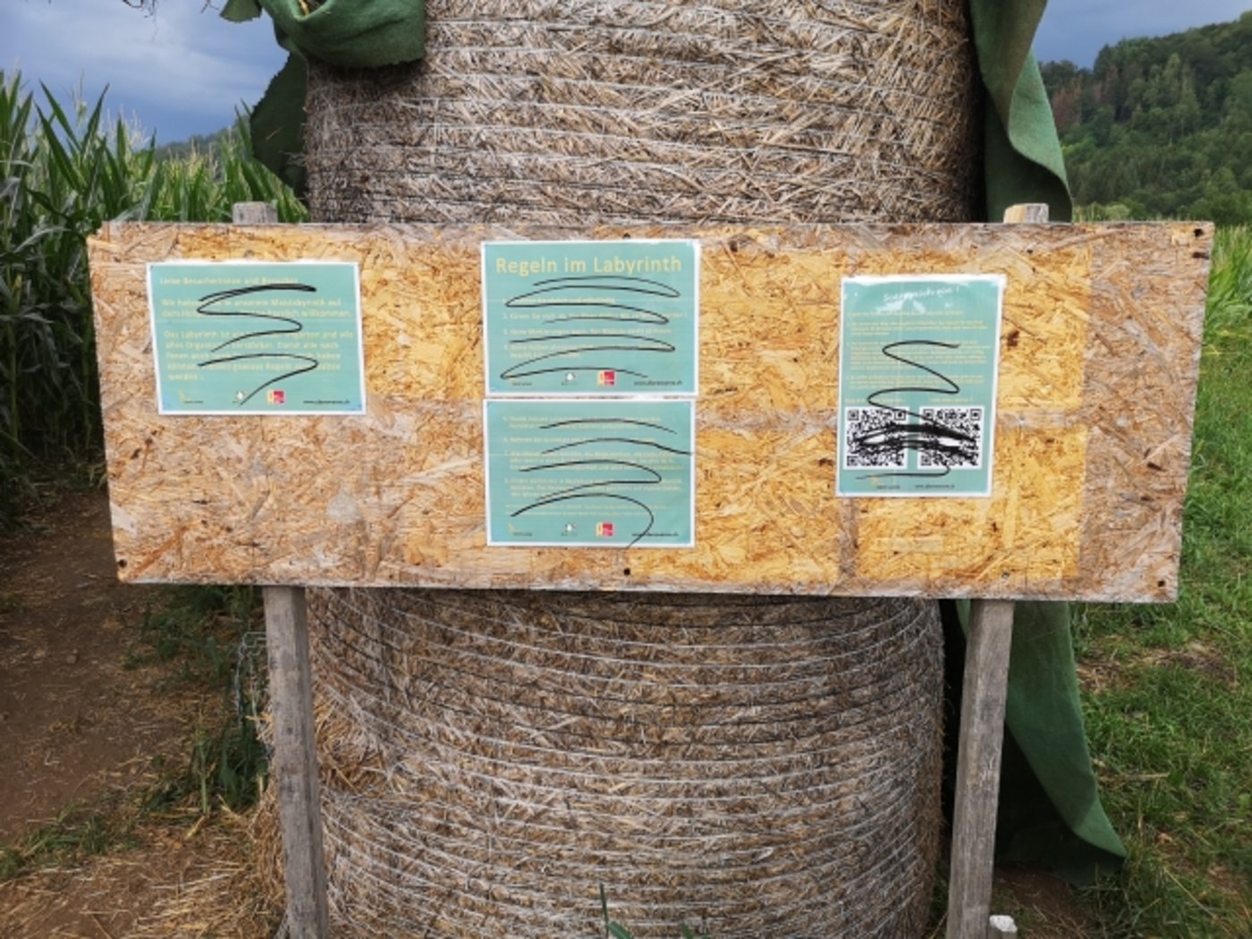 Die Vandalen übermalten fast alle QR-Codes. (Bild zVg)