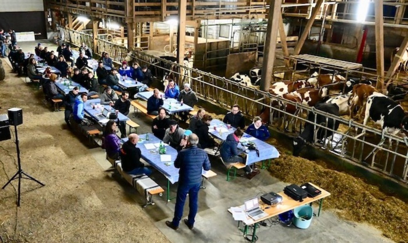 Der Jula-Höck fand im Stall der BG Niesen in Wimmis statt. So konnten sich auch die Kühe über den Milchmarkt informieren. (Bild jba)