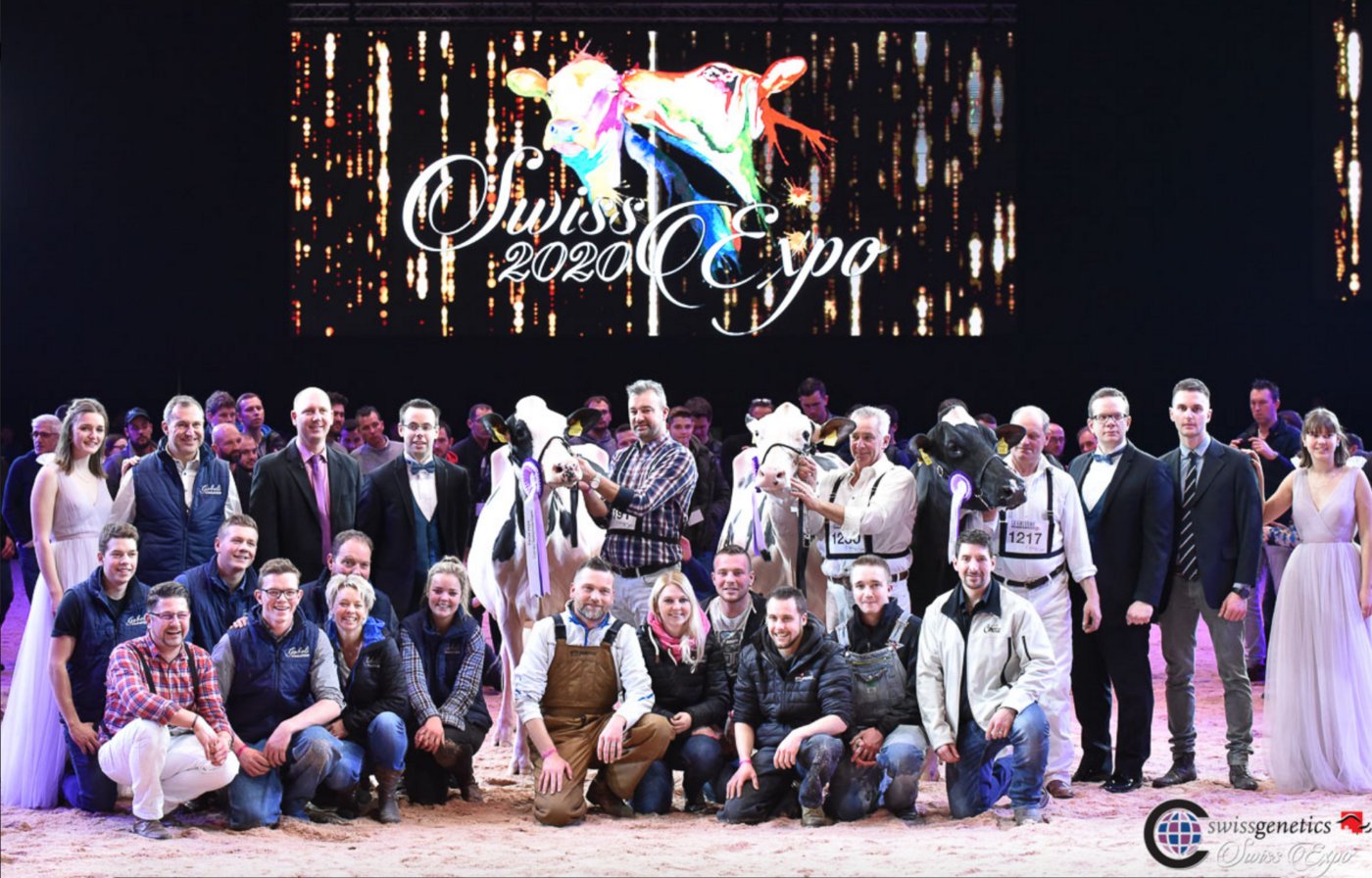 Champion Intermediate (v.l.n.r): Gobeli’s Durango Perry, Gobeli Holstein, Saanen BE; Reserve: Comestar Doorman O’Katrysha, WTS-Genetics, Comestar Holsteins, Menznau LU; Mention: S Bro Gold Chip Alexis, Edwin Steiner, Wilen SZ. (Bild Cowsmo)