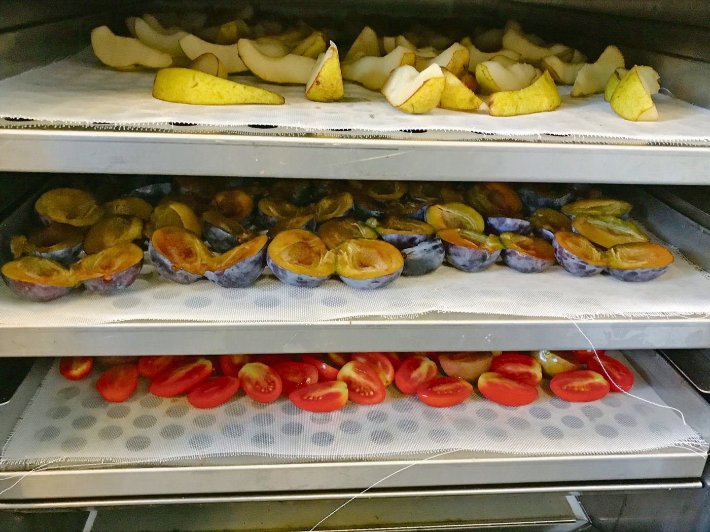 Das Dörrgut kommt auf Blechen in den Ofen, der zurzeit meistens in Dauerbetrieb ist. Die Dörrzeiten sind sehr unterschiedlich. Bei Birnenschnitzen ist mit 10 bis 15 Stunden zu rechnen. 