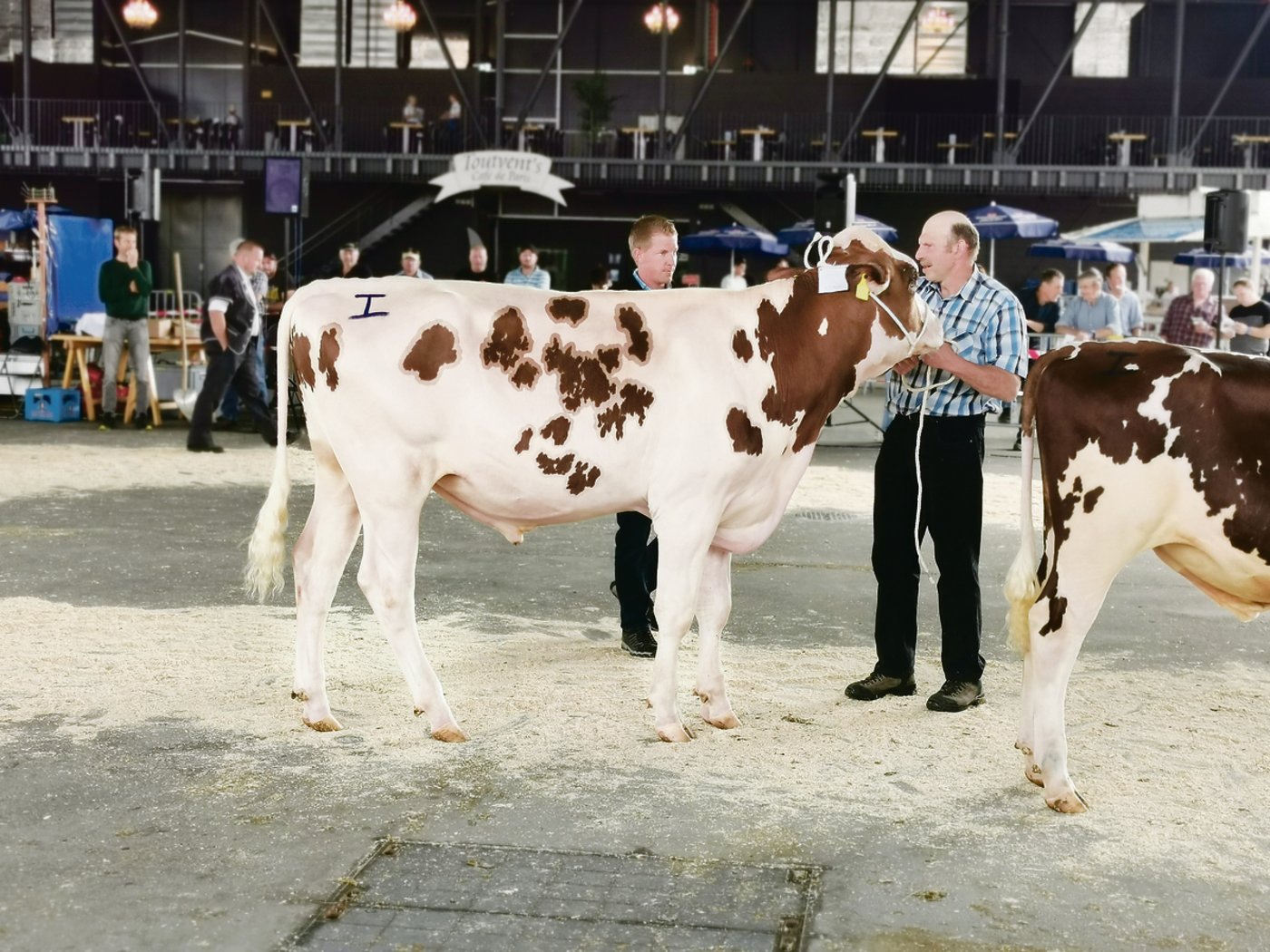 Michael Teuscher, Präsident der Marktkommission, gratuliert Hans Stegmann zum Mister Stierkalb RH. (Bild BauZ/sb)