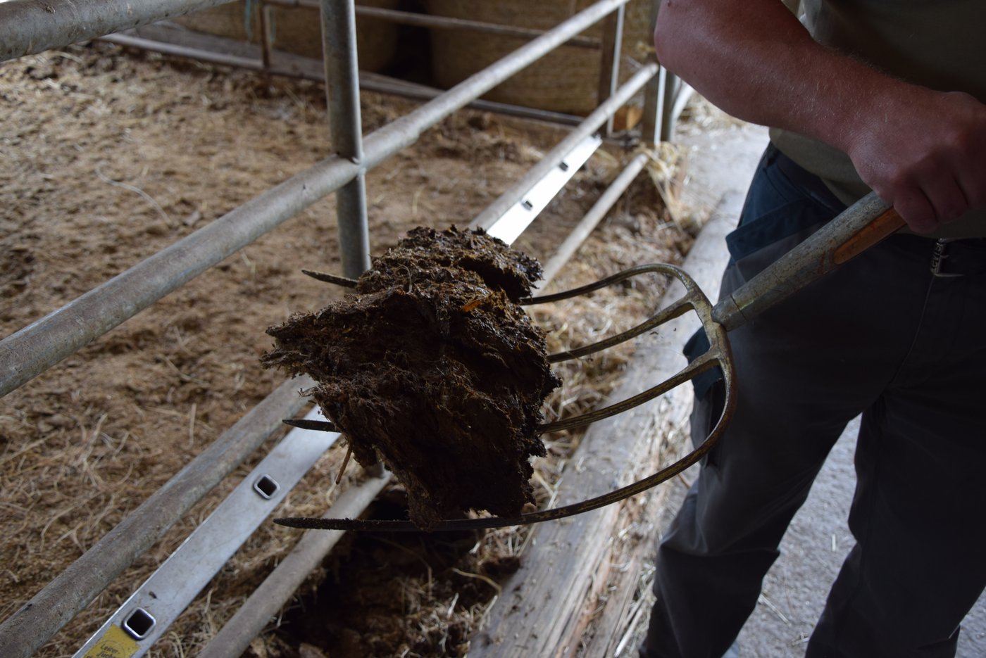 Der Mist in den Pferdeboxen ist nach 6 Jahren kompostiert und riecht nun nach Wald und Humus.