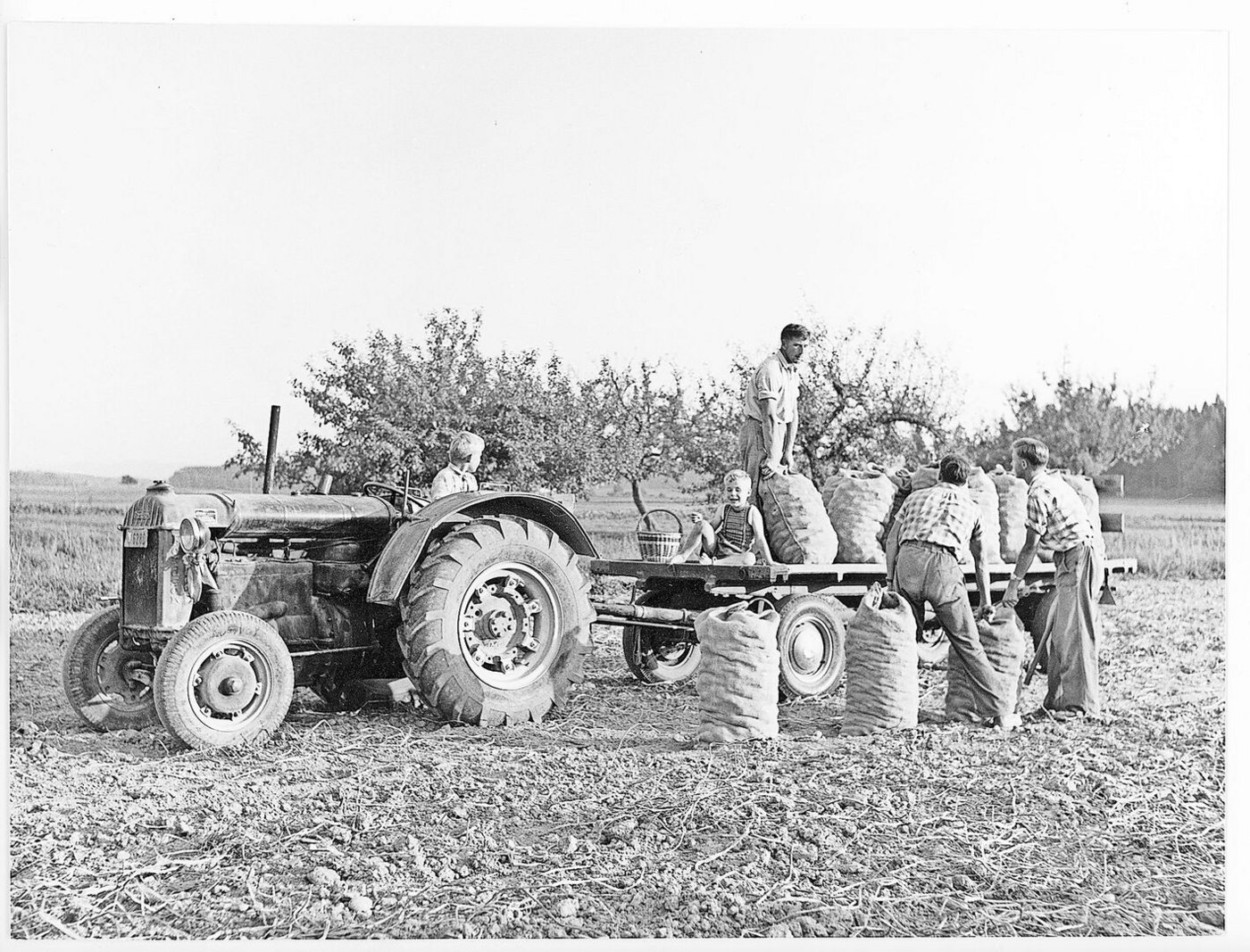 In den 1950er-Jahren erledigten fast 90 Prozent der Knaben und knapp 70 Prozent der Mädchen am Morgen vor der Schule verschiedene Arbeiten.