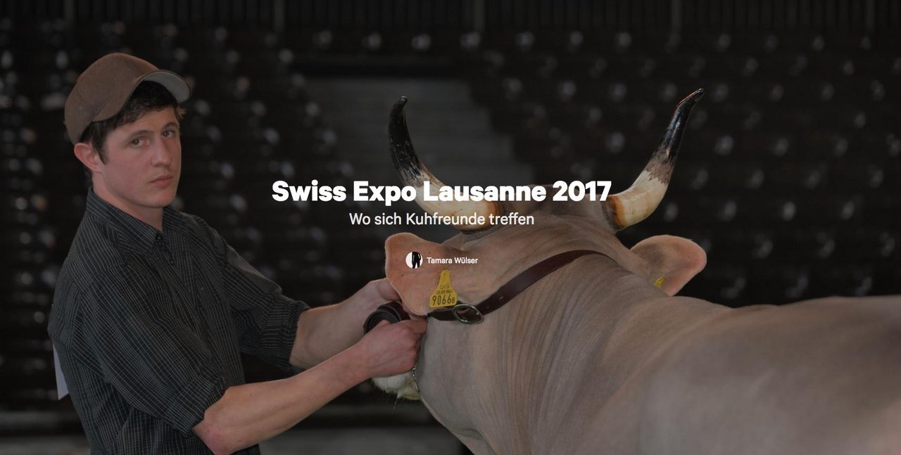 In der Scrollreportage (Link unten) kann man sich die Swiss Expo noch einmal in Ruhe zu Gemüte führen. (Bild Screenshot)