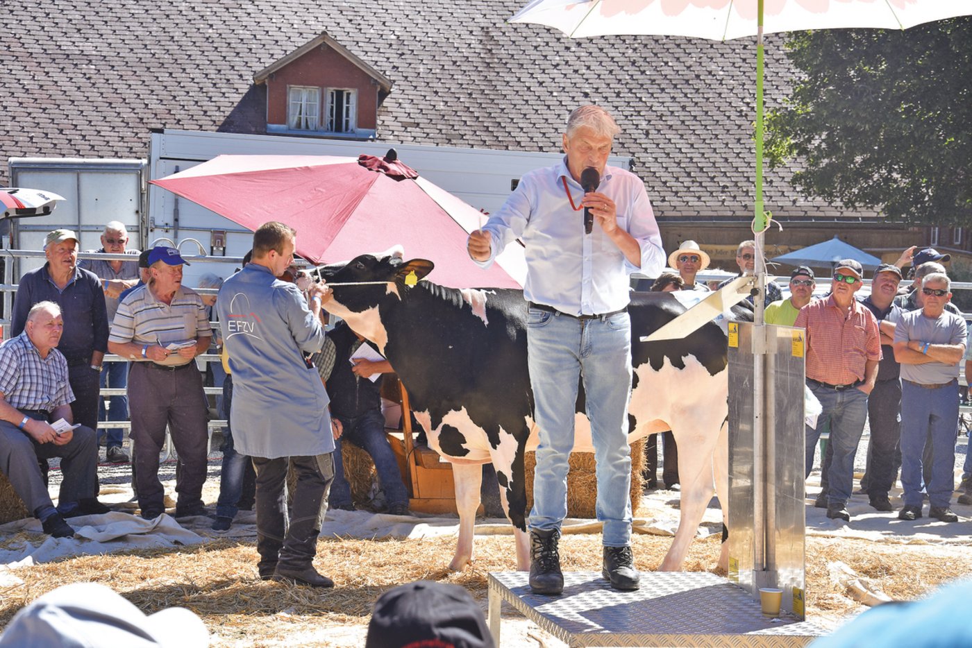 Alois Wyss, wie man ihn kennt, immer voll in Aktion. Die BauernZeitung wünscht ihm gute Besserung.
