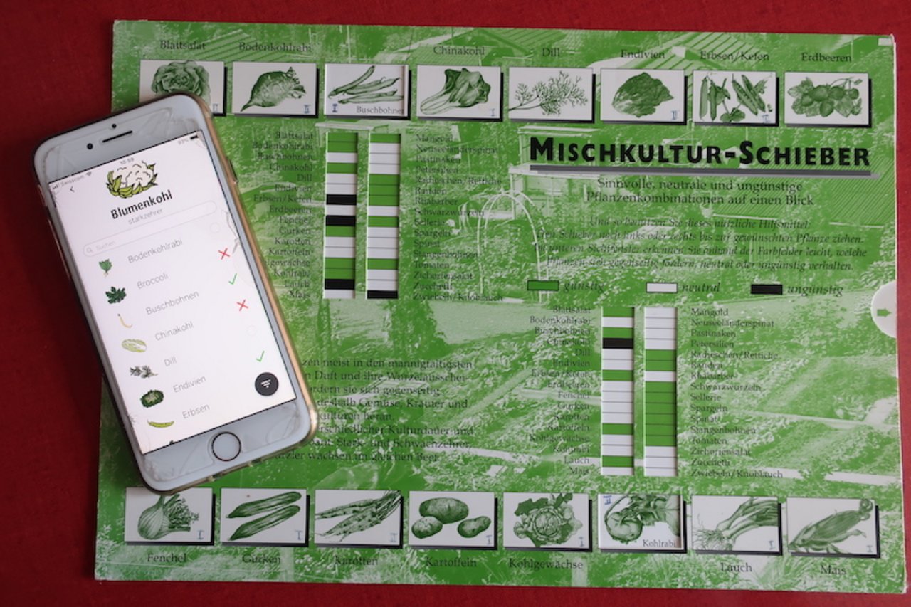 Den Mischkulturenschieber aus Karton gibt es neu auch als App. (Bild et)
