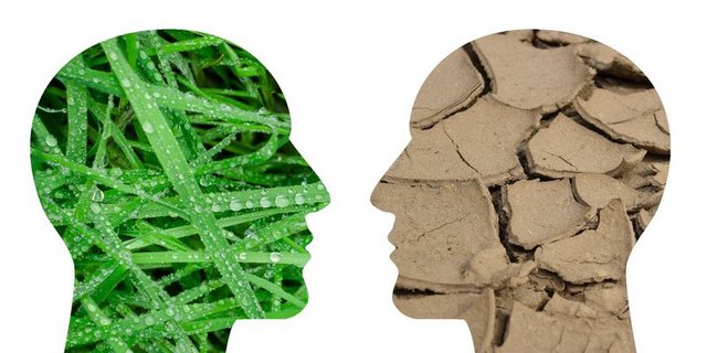 Was droht uns durch den Klimawandel und was kann man dagegen unternehmen? Das Lid-Dossier bietet viel Wissen zu wichtigen Fragen. (Bild Pixabay) 