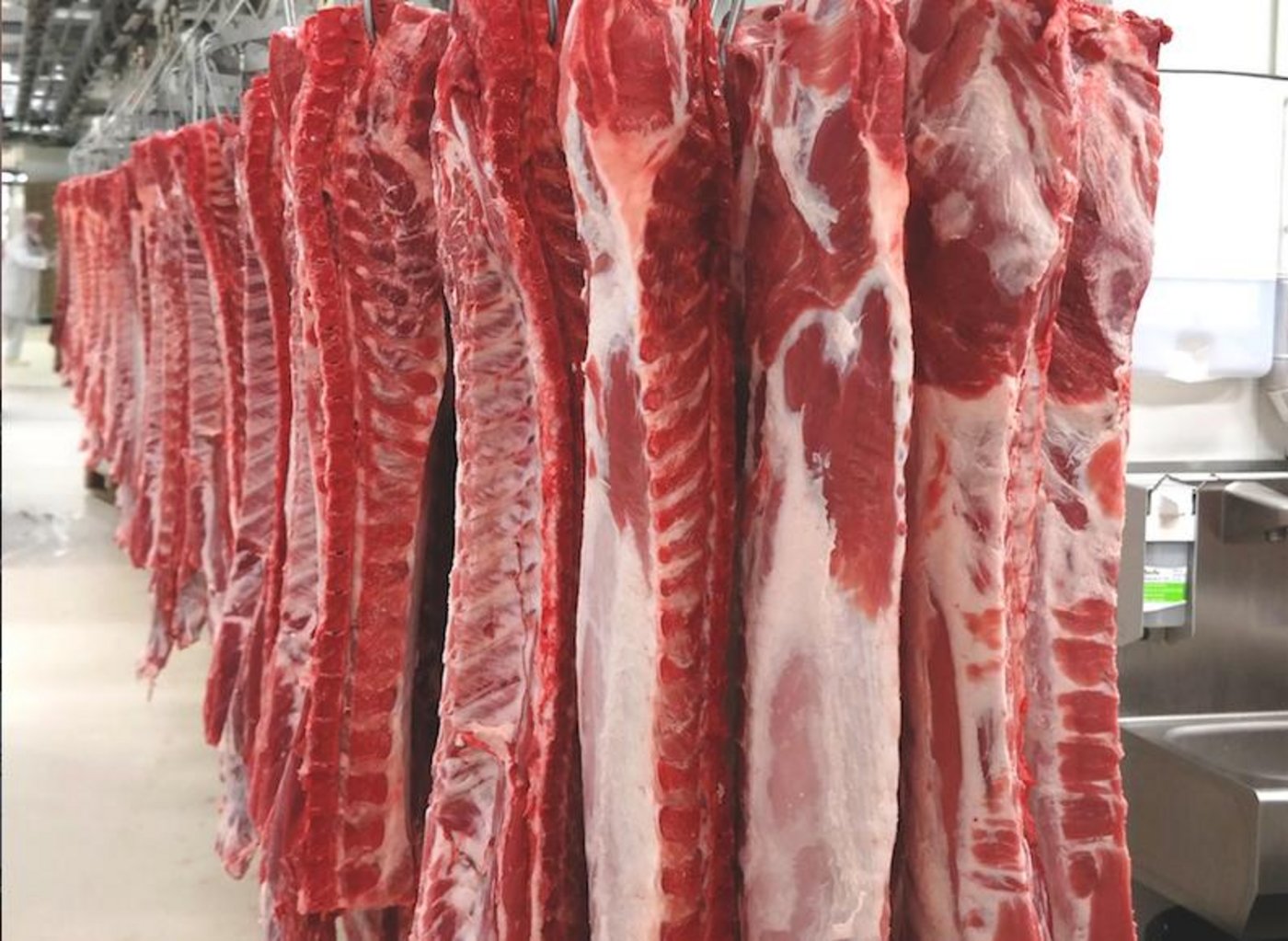 Seit Mitte April wurden Metzgereien in Genf von Tierschützern wiederholt mit Steinen beworfen. (Symbolbild BauZ)