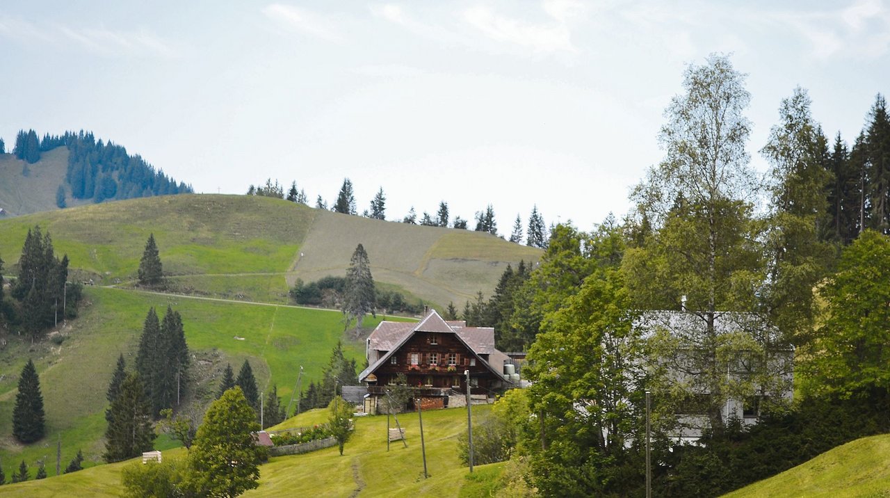 Wann gilt ein Betrieb als landwirtschaftliches Gewerbe?(Symbolbild pf)