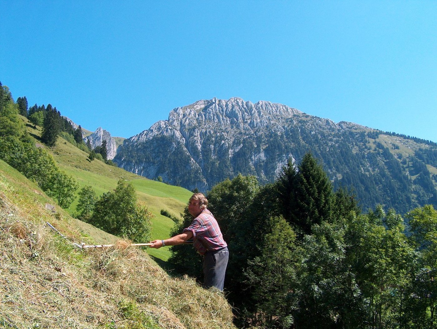 Die Bewirtschaftung von Steillagen, wie hier im Wägital, wird auch in Zukunft finanziell abgegolten. (Bild zVg)