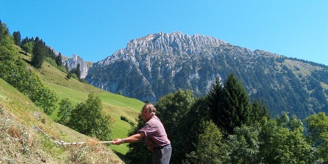 Die Bewirtschaftung von Steillagen, wie hier im Wägital, wird auch in Zukunft finanziell abgegolten. (Bild zVg)