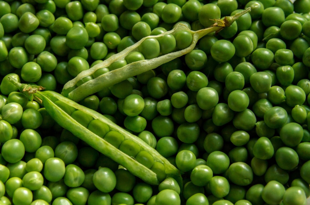Das Genom der Felderbse sei im Vergleich zu anderen Gemüsen grösser und komplexer. (Bild Pixabay)
