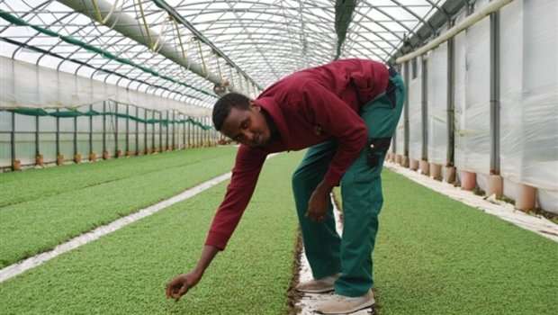 Ali Abdirisaq war einer der Flüchtlinge in dem Pilotprojekt. Der gebürtige Somalier kümmerte sich auf dem Betrieb Eschbach Gemüse in Füllinsdorf BL unter anderem um die Kresse. (Archivbild jw)