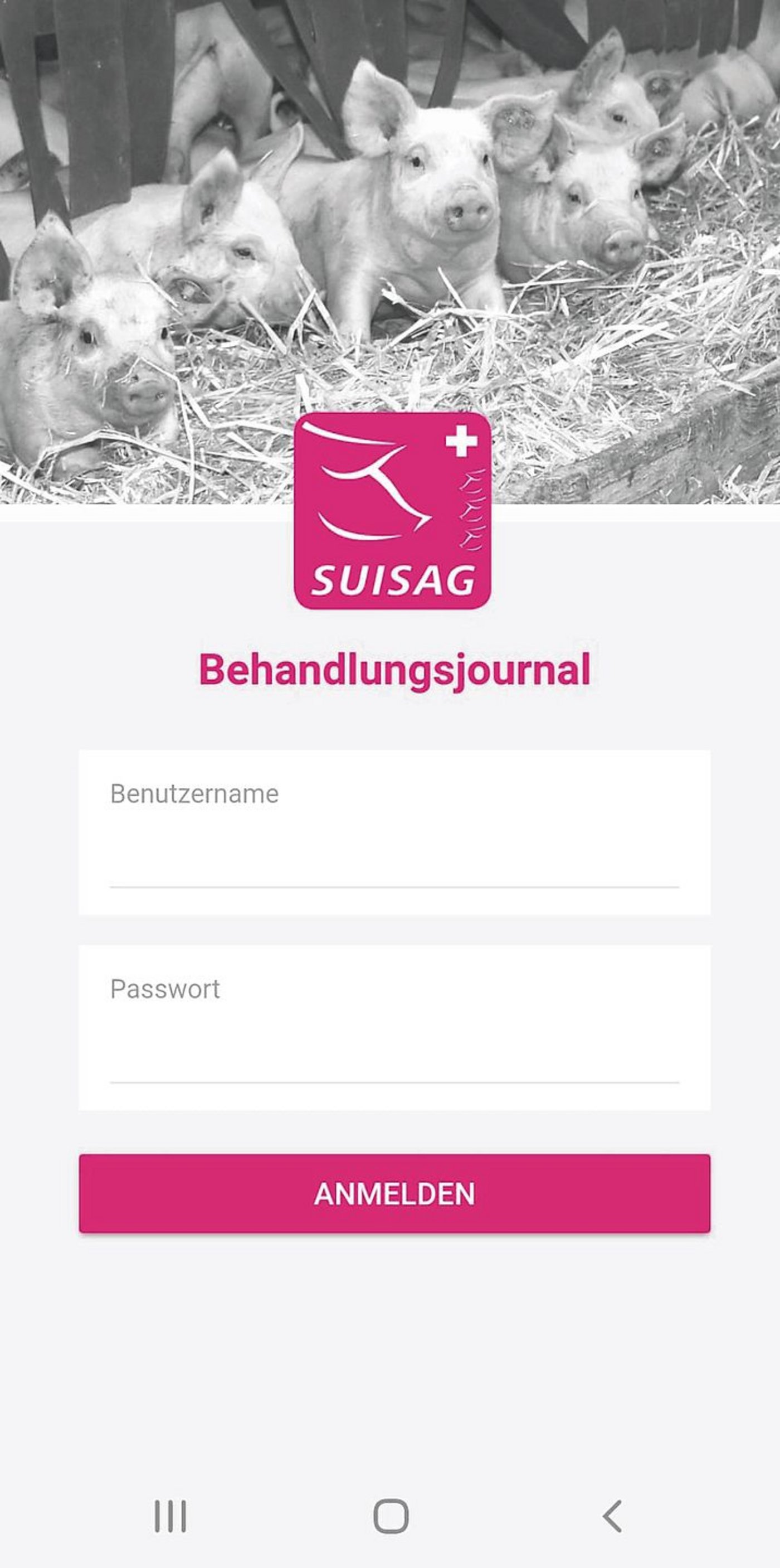 Die Oberfläche des Behandlungsjournals.(Bild zVg)