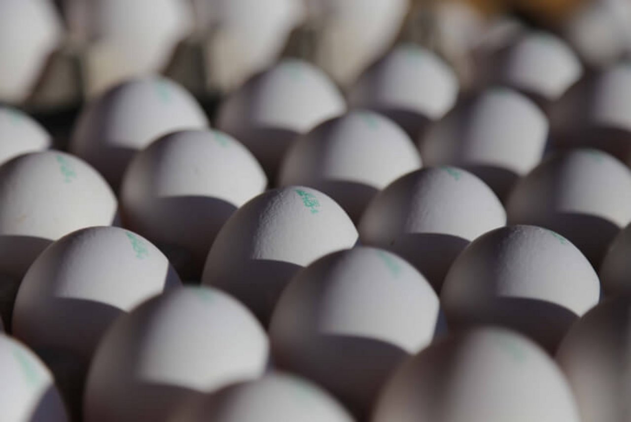Bald mehr Vitamin D in Eiern? (Bild Symbolbild/ji)