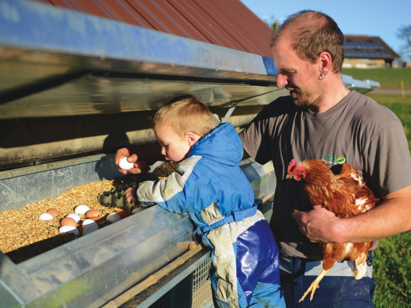 Die Nester befinden sich seitlich und lassen sich durch eine Dachklappe greifen. (Bild: Fabio Müller)