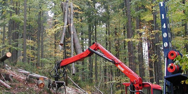 Der Luzerner Bergwald ist weiterhin unternutzt. In unwegsamen Gebieten fördert der Kanton Luzern den Einsatz von Seilkränen.