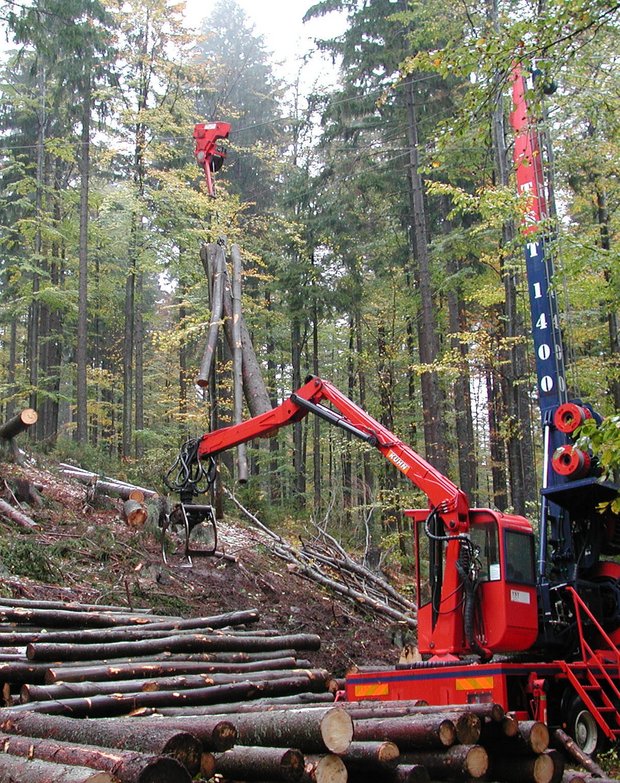 Der Luzerner Bergwald ist weiterhin unternutzt. In unwegsamen Gebieten fördert der Kanton Luzern den Einsatz von Seilkränen.