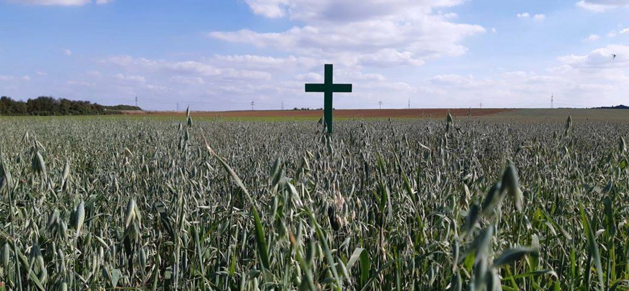 Landwirte in ganz Deutschland stellten Kreuze auf, um auf die missliche Lage in der Landwirtschaft hinzuweisen. 