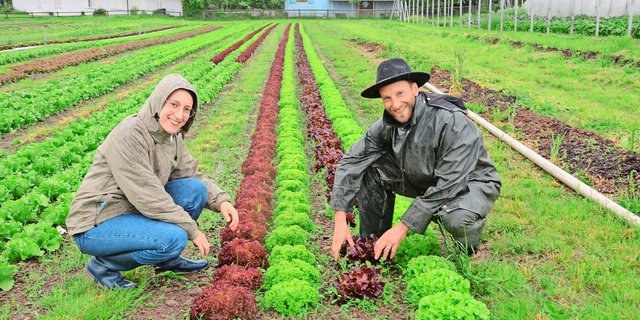 Ruth und Noah Ammann produzieren im Freiland Salat und Gemüse, das sie im Hofladen, in Heimen und Gastrobetrieben in der Region vermarkten. 