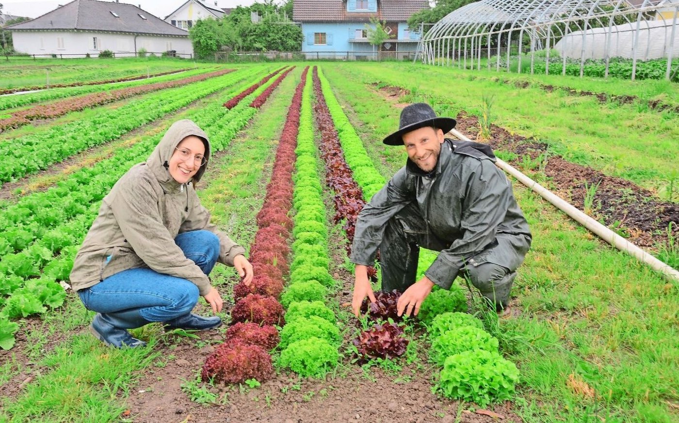 Ruth und Noah Ammann produzieren im Freiland Salat und Gemüse, das sie im Hofladen, in Heimen und Gastrobetrieben in der Region vermarkten. 