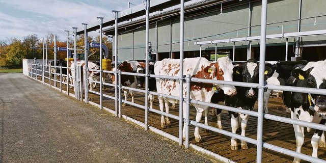Ein neuer Stall bereitet, wenn er richtig geplant ist, über eine lange Zeit Freude. Darum lohnt es sich, genügend Vorbereitungen zu treffen und sich vor der Planung umfassend zu informieren.
