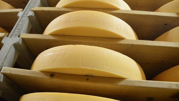 Die Käseexporte waren im ersten Halbjahr 2017 rückläufig. (Bild BauZ)