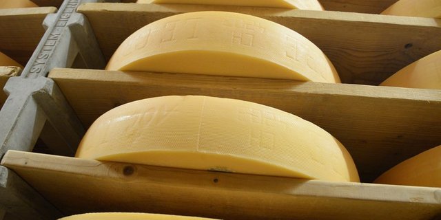Die Käseexporte waren im ersten Halbjahr 2017 rückläufig. (Bild BauZ)