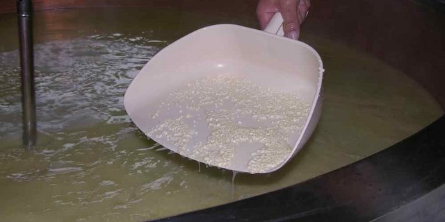 Schweizer Käse ist in Russland nach dem Embargo gefragt. (Bild: BauZ)